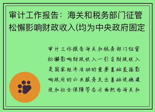审计工作报告：海关和税务部门征管松懈影响财政收入(均为中央政府固定收入)