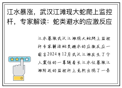 江水暴涨，武汉江滩现大蛇爬上监控杆，专家解读：蛇类避水的应激反应